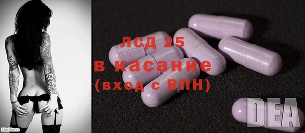 ГАЛЛЮЦИНОГЕННЫЕ ГРИБЫ Алзамай