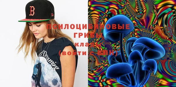 прущие грибы Алексин