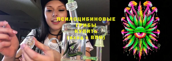 прущие грибы Алексин