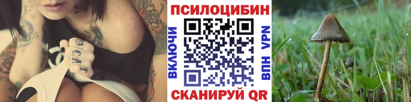 как найти закладки  Сургут  Галлюциногенные грибы Psilocybe 