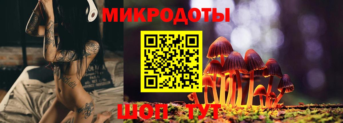 Галлюциногенные грибы мицелий  Вход с VPN  Сургут 